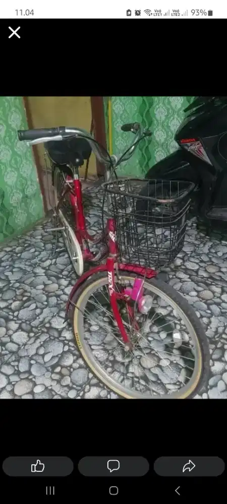 Sepeda T-rex Lotus size 24