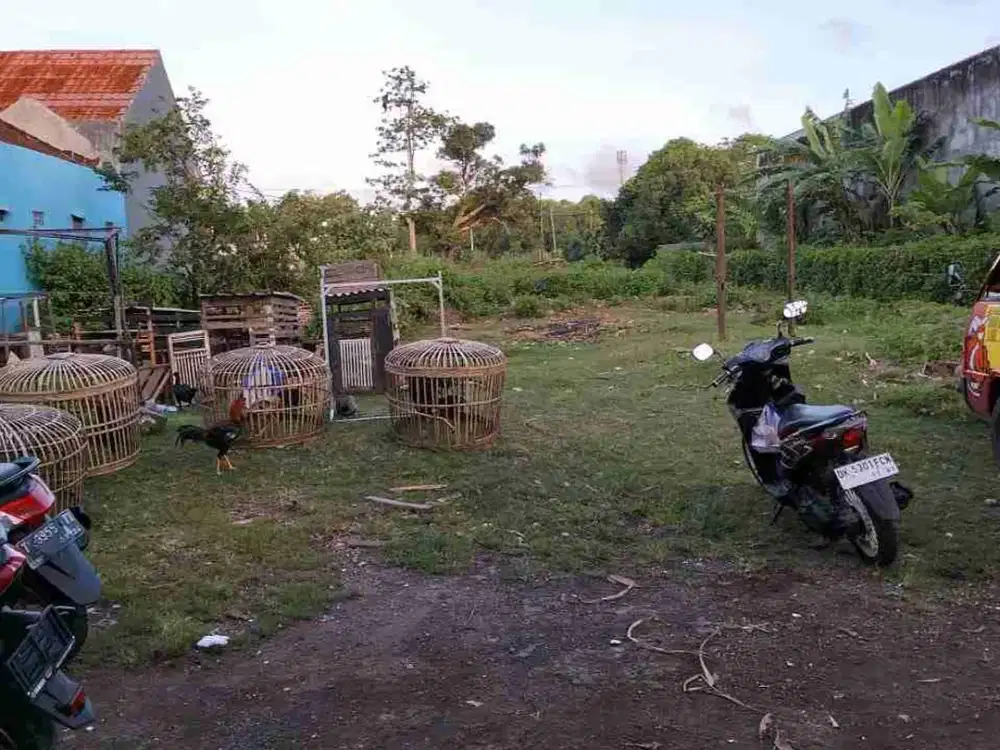 dijual tanah 4 are IDR 650 juta per are dekat politeknik jimbaran Kuta Selatan Badung Bali