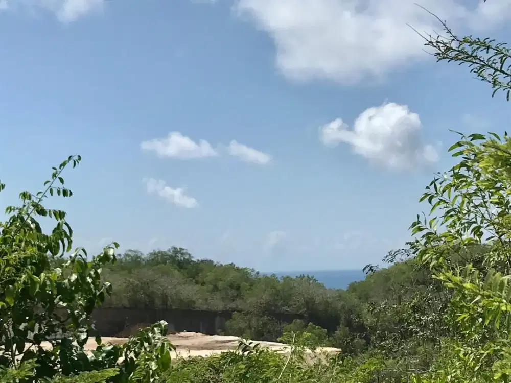 Tanah Dijual di Jl. Gayangsari, Kutuh, Badung, Bali