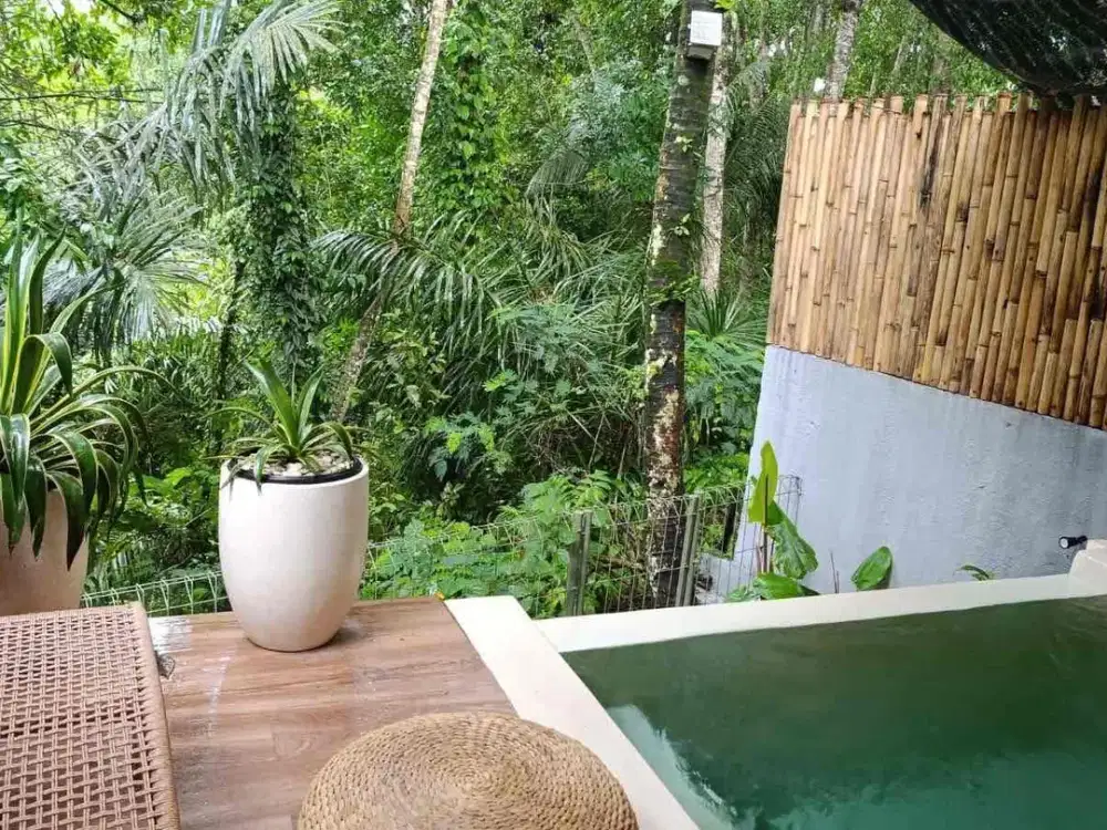 Bamboo Villa for Sale in Tegalalang, Ubud, Bali!
Details
- 5 units, 1BR villa