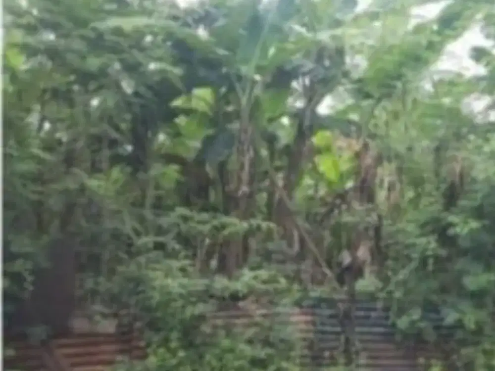 Dijual Lahan Gunung Anyar