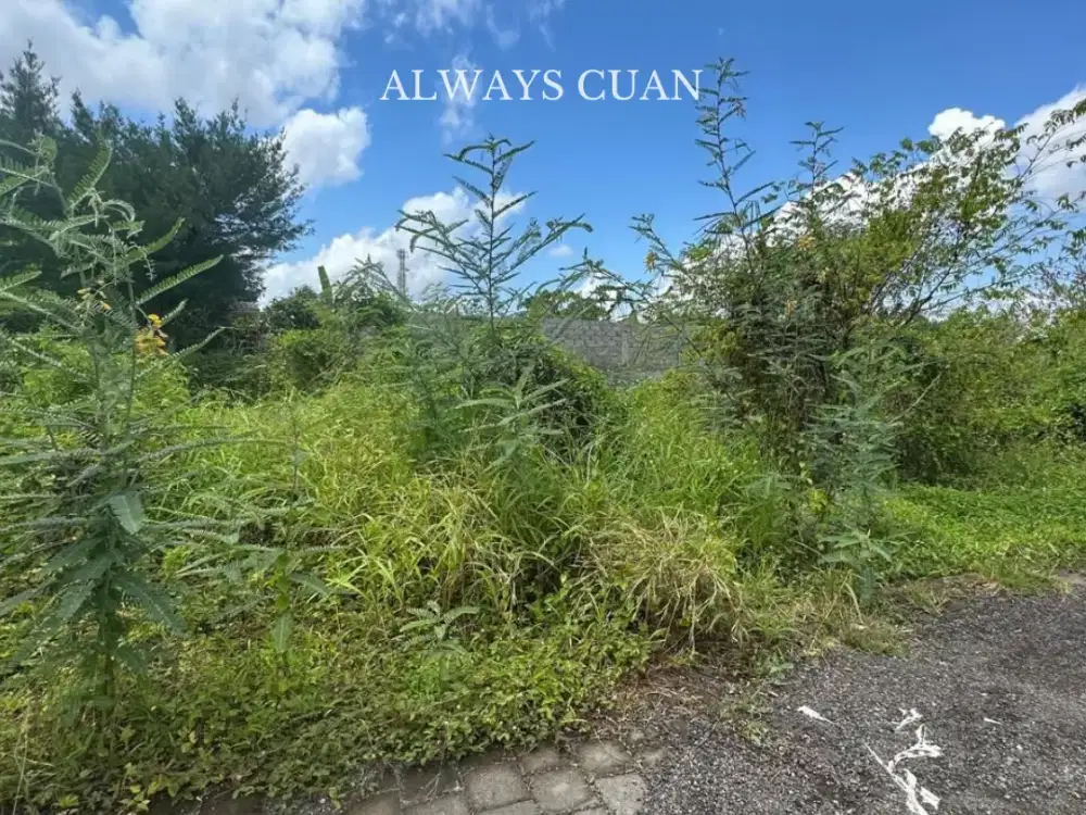 Tanah Datar Siap Bangun Areaasarr Dijual