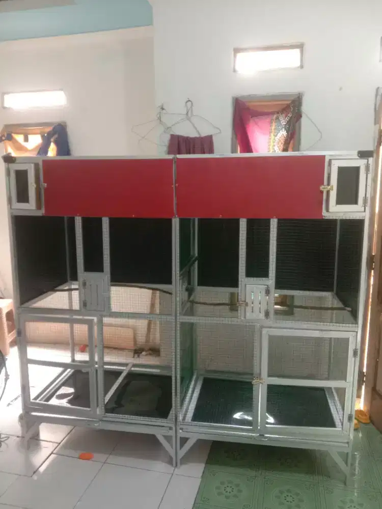 Kadang ternak murain2 kotak