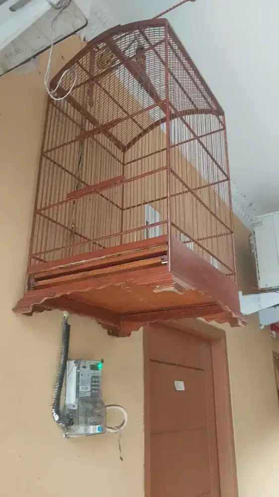 Kosan no 1 Big bekas muari sma kosan no2 bekas kenari