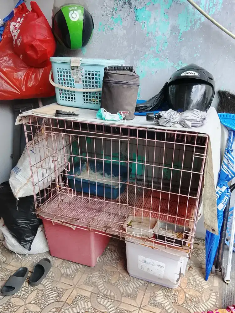 kandang Kucing Jumbo
