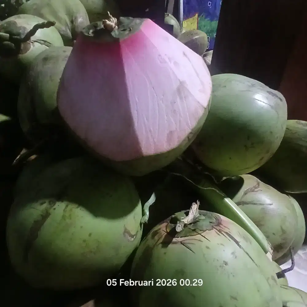 Lowong kerja Untuk Jualan Es kelapamuda