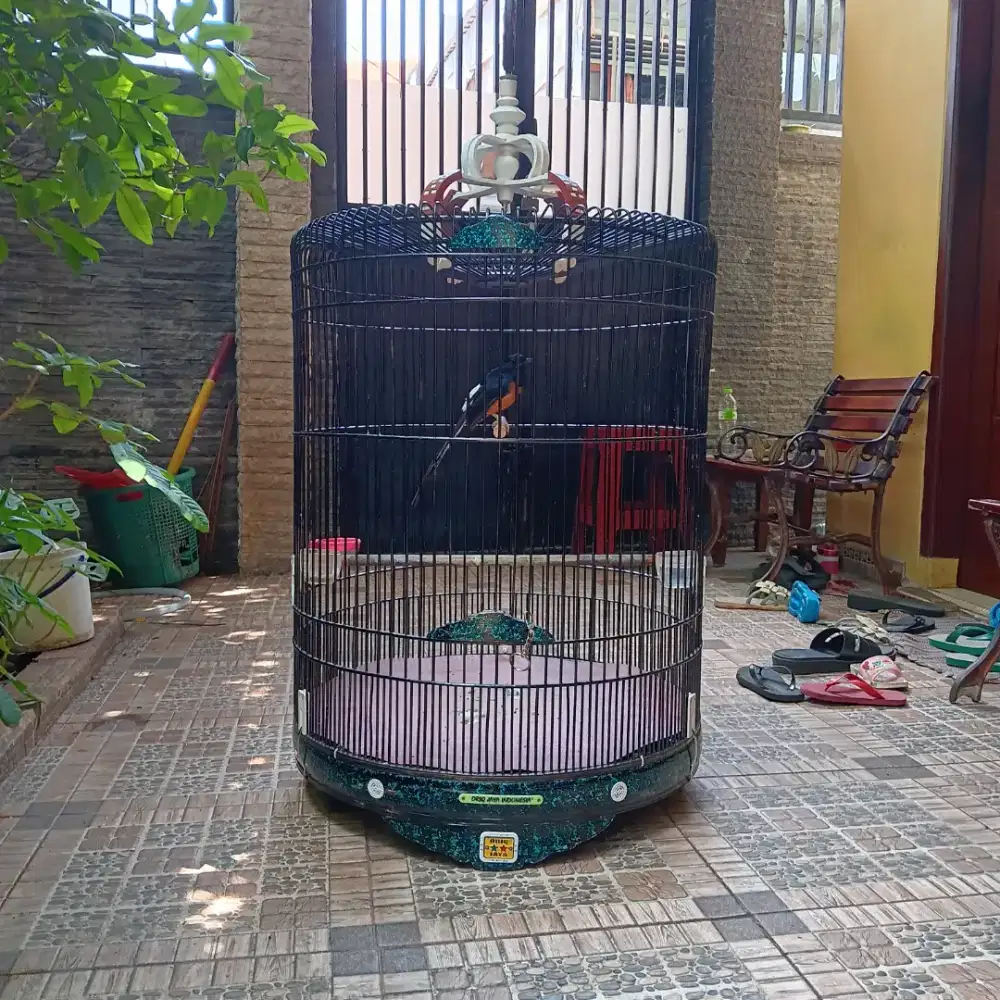 Sangkar murai oriq jaya no2