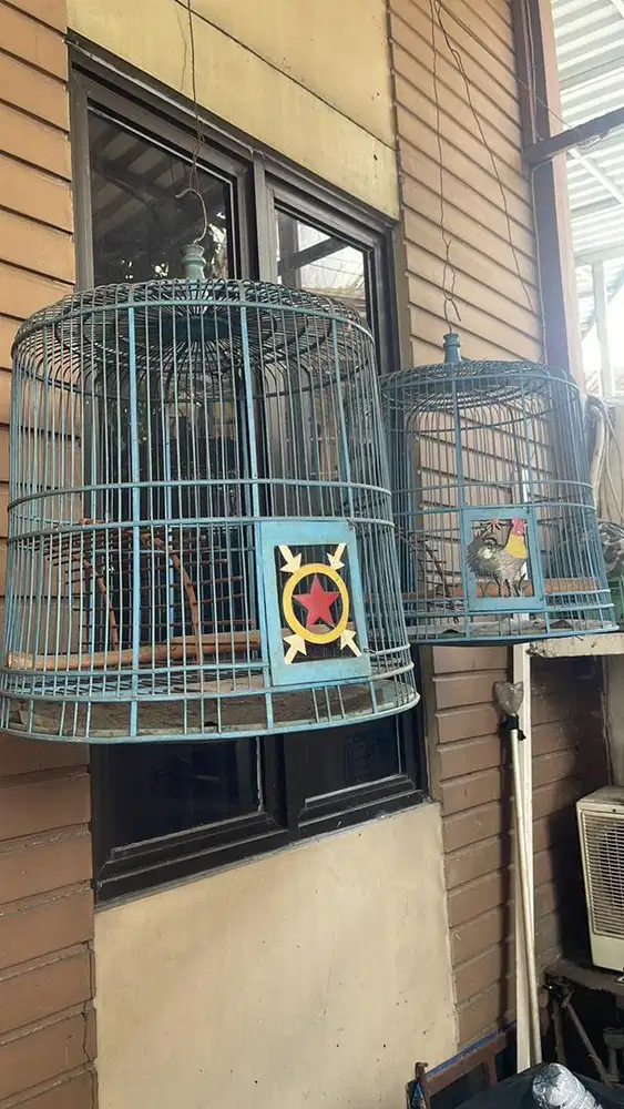 Jual sangkar kandang Burung