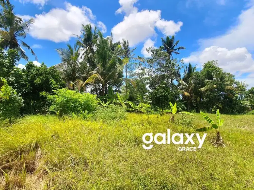 DIJUAL TANAH HOOK DI GIANYAR