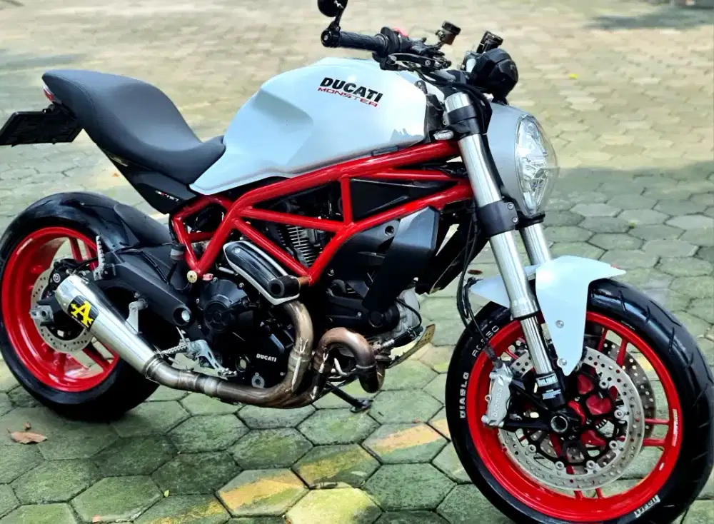 [RARE] Ducati Monster 797 White Doff Texture 2019 edition