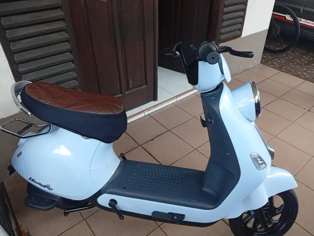 Sepeda Listrik Limited Edition T60