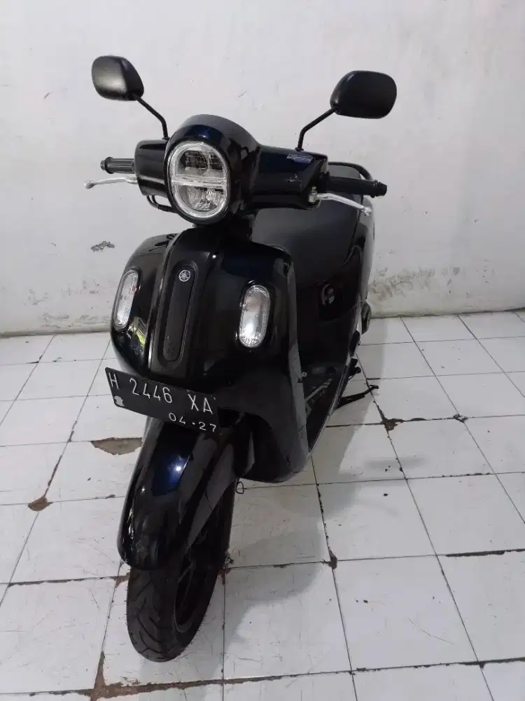 fazzio hitam thn 2022