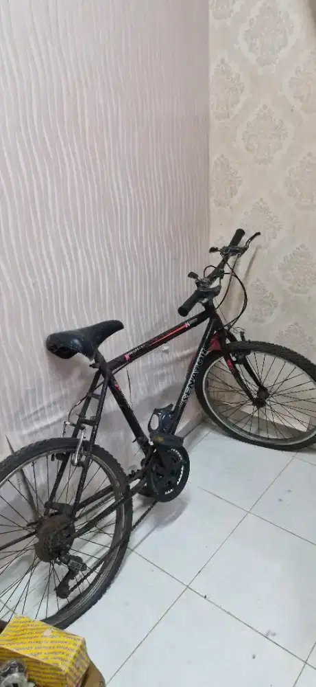 Sepeda sporty masih bagus