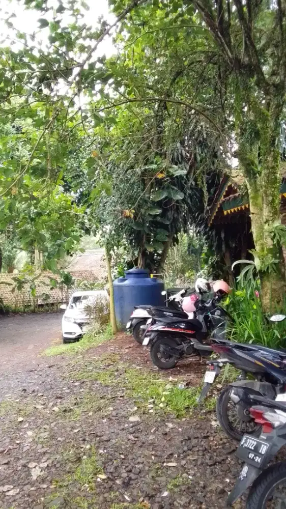 JASA ANTER JEMPUT / ANTER KEMANAPUN DADAKAN/BOOKING