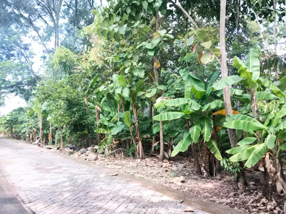 JUAL Tanah Bentuk Kotak Siap Bangun di Taman Tlogomulyo Pedurungan Semarang