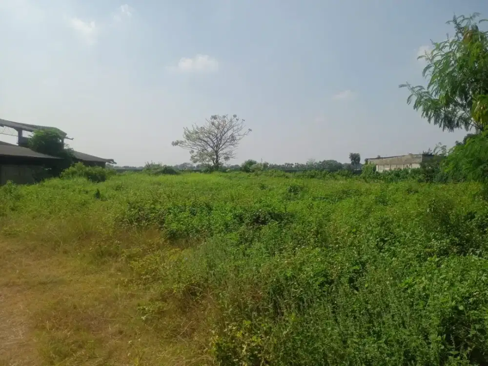 Investasi Strategis! Tanah 5,8 Ha di Pasar Kemis, Tangerang – Zona Industri, Lebar Muka 40 m, SHGB, Hanya 2 Jt/m²!