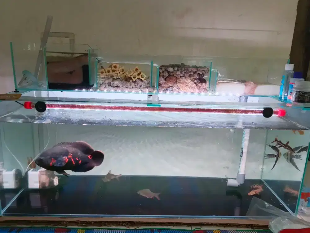 Aquarium 100×40×40