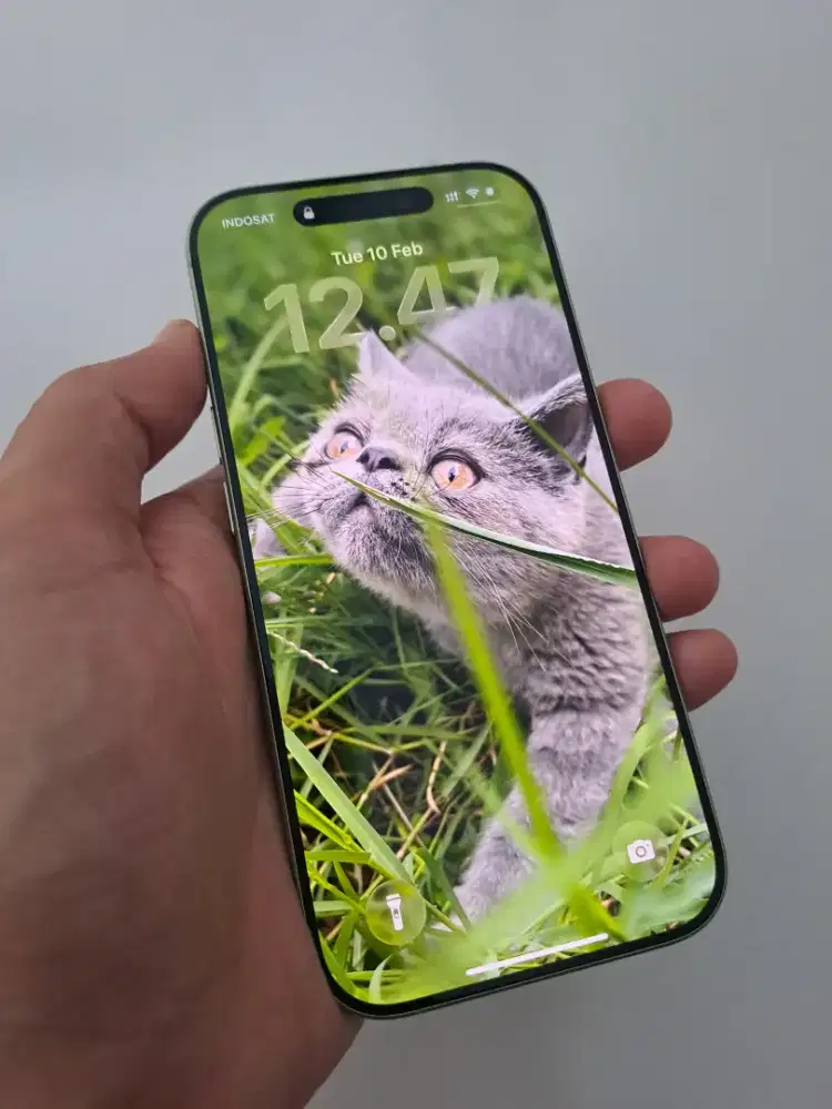 Jual Iphone 17 Basic 256