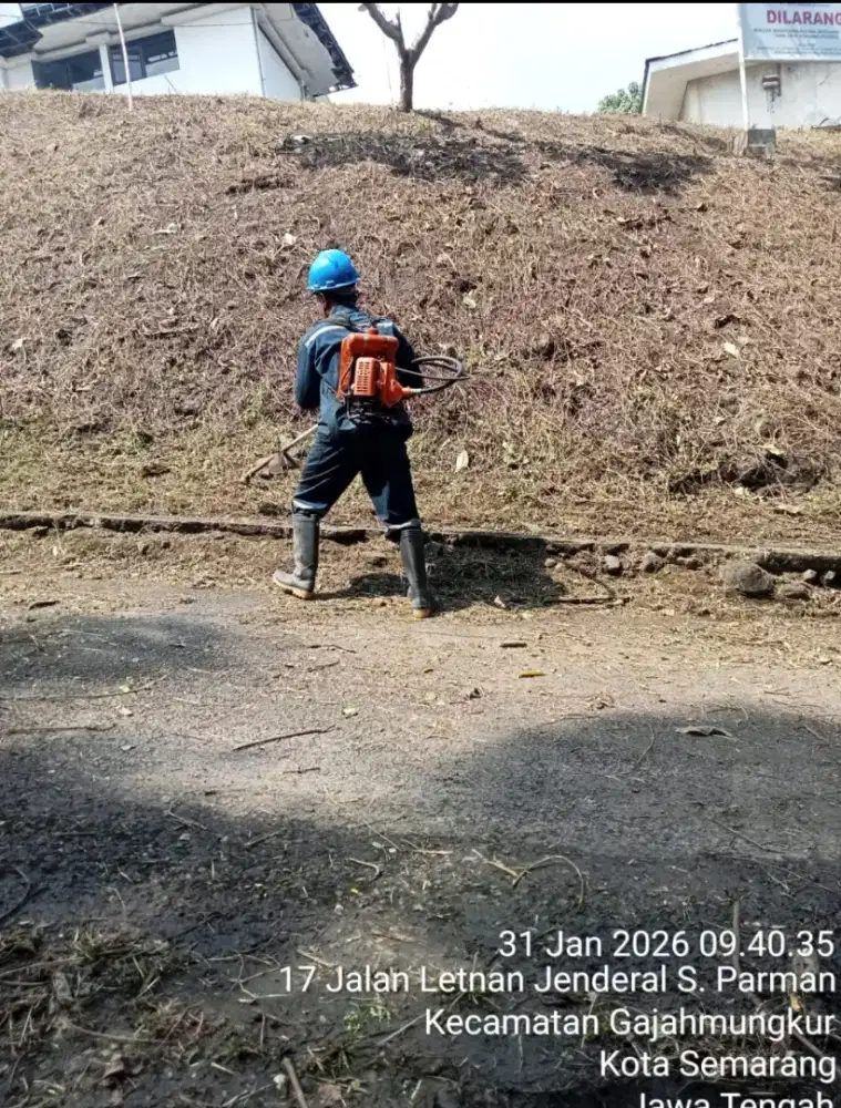 JASA POTONG RUMPUT SEMARANG