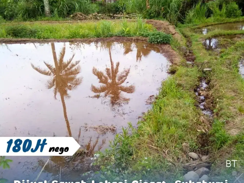 Dijual tanah sawah Lokasi cisaat sukabumi