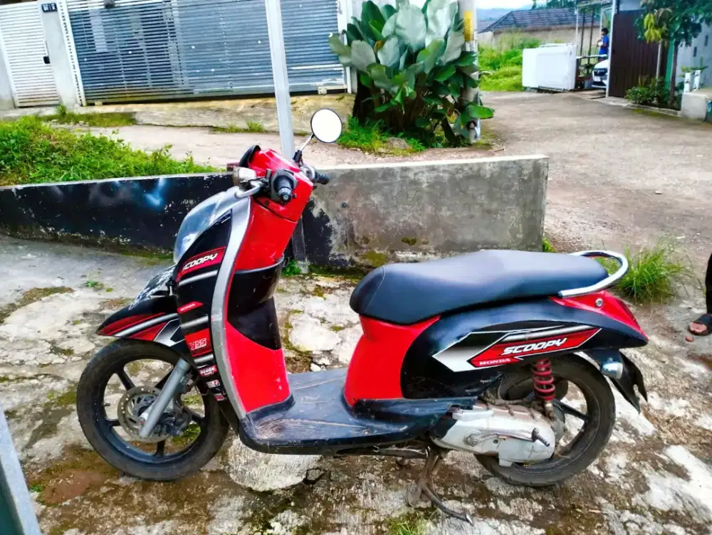 Honda scoopy 2012