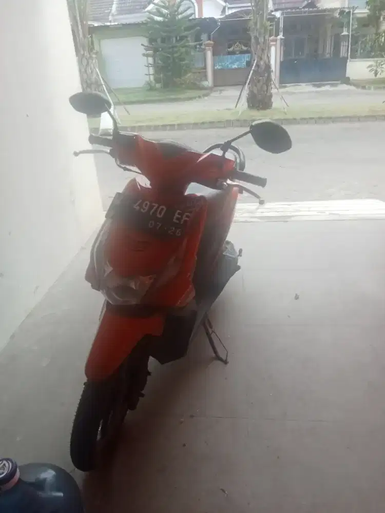 Jual beat karbu langka