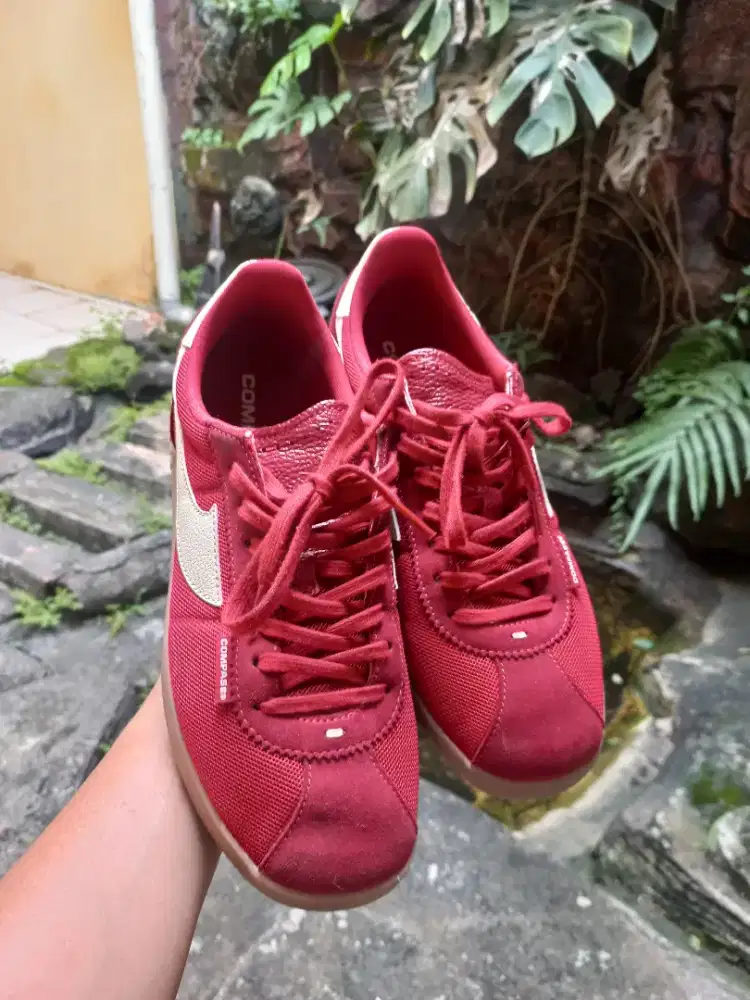 Compass tribune red gum