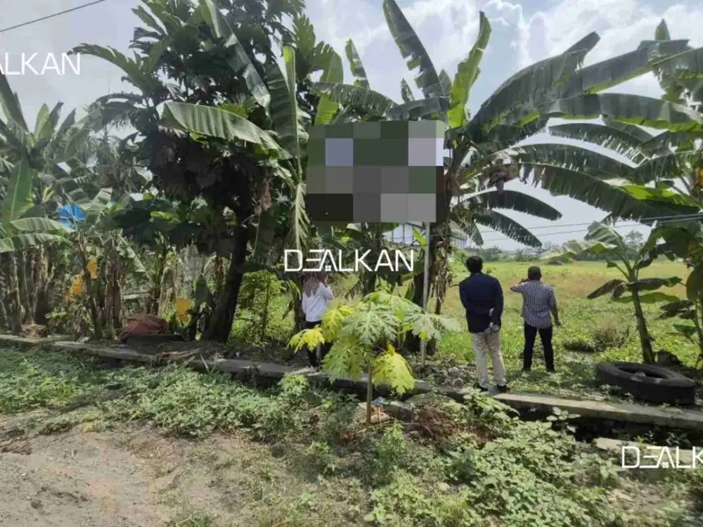 For Sale Tanag Krian Kraton Dekat Pabrik