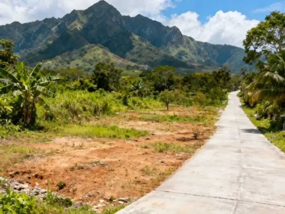 Kavling Murah Puncak 2 View Pegunungan Free SHM