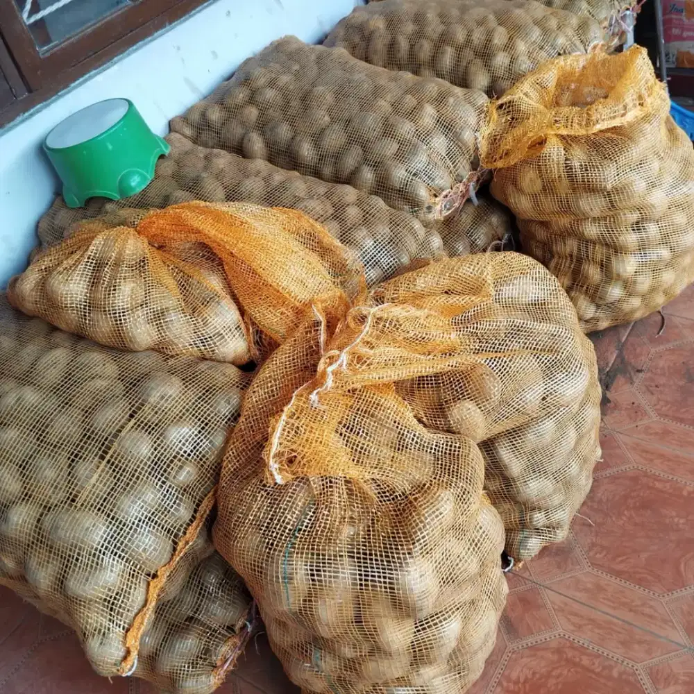 Sayuran kentang diyeng