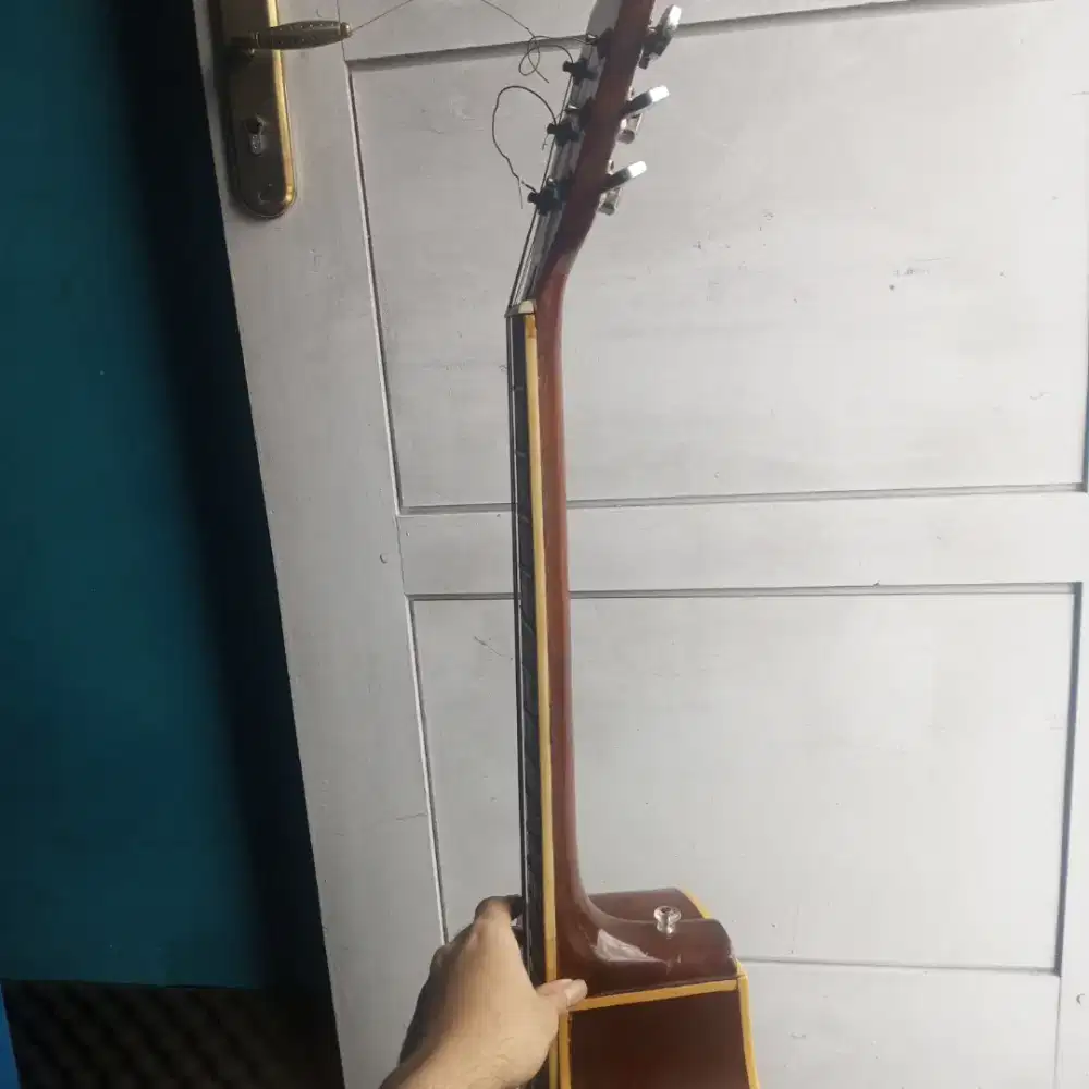 Akustik elektrik classic cort handmade