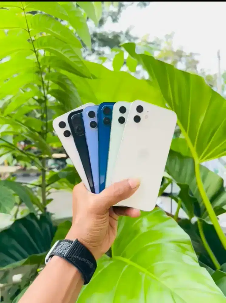 IP 12 128gb inter wifi onyl