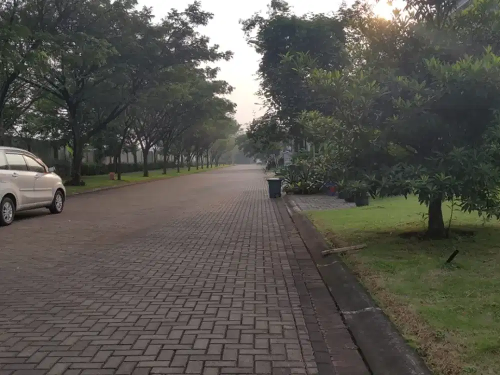 Dijual Cepat Kavling Hook Kuldesak Cluster De Cajuputi De park Bsd City