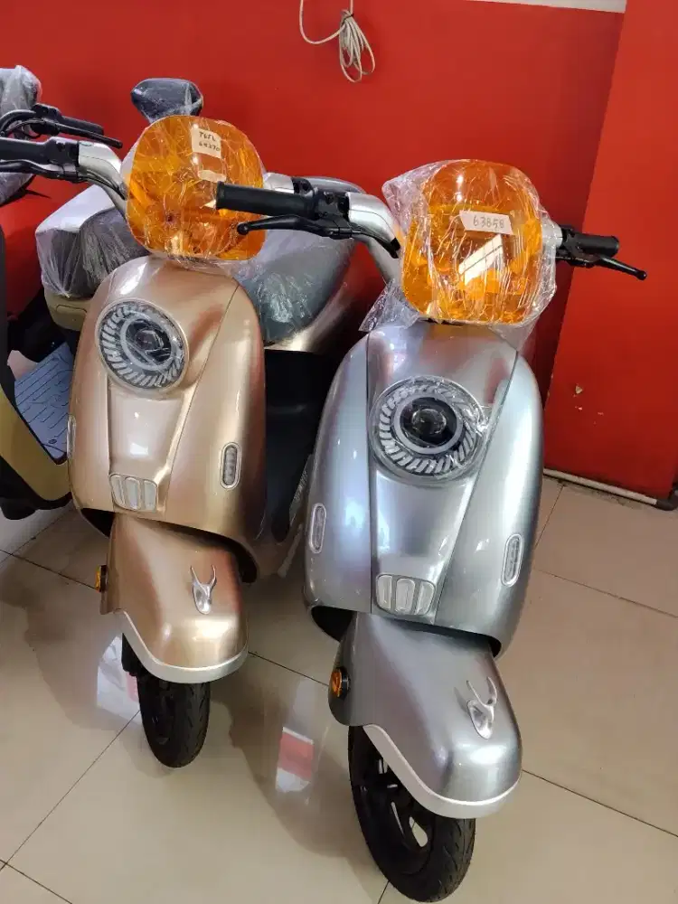 Sepeda Listrik U-winfly T65L