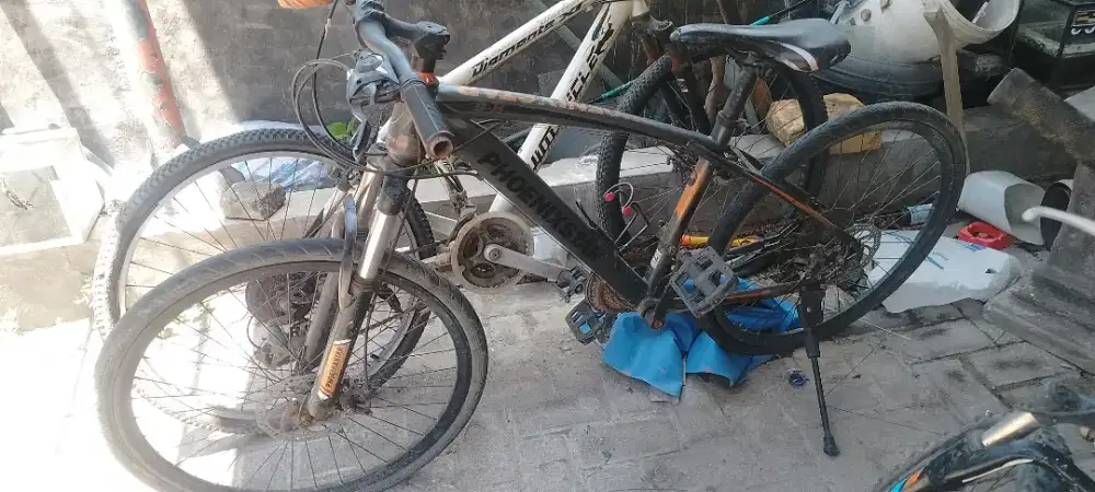 Jual sepeda Phoenix dan wimcycle