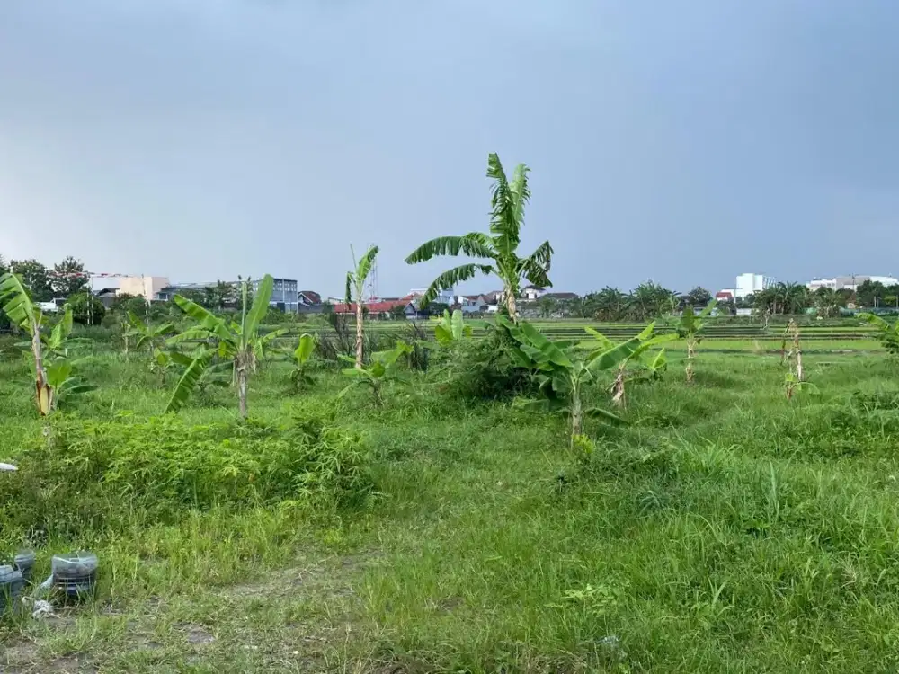 Tanah Langka SHM Depan Mall Amplaz Jogja