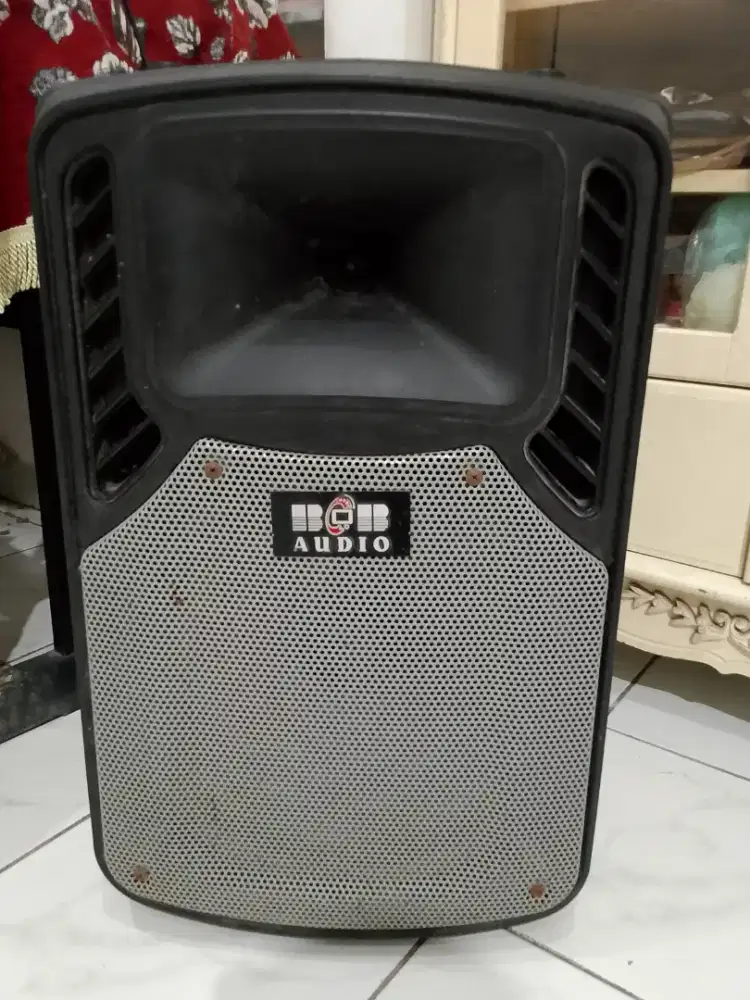 Speaker portable 12
