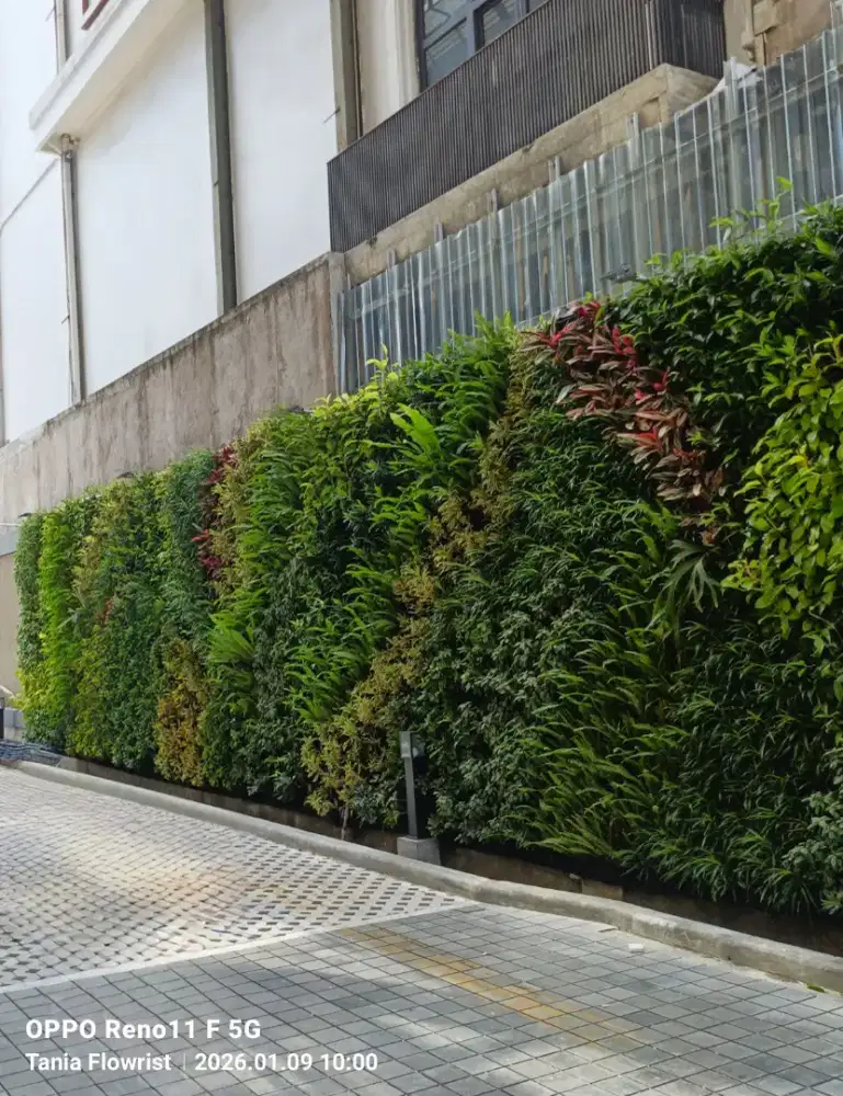 Jasa pembuatan taman vertikal garden hidup