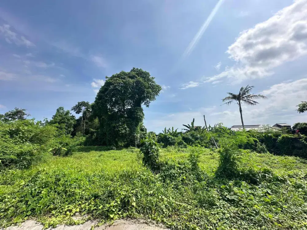 Tanah prime jarang ada di prerenan dekat dengan Pantai
