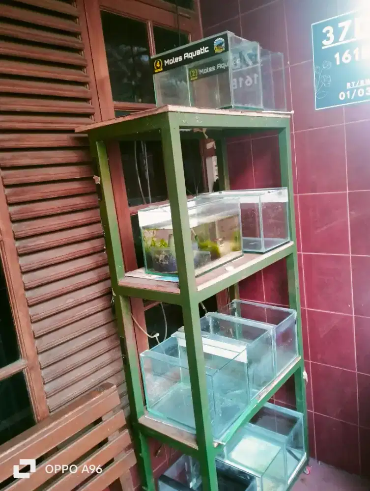 aquarium 30x20x20 10 pcs