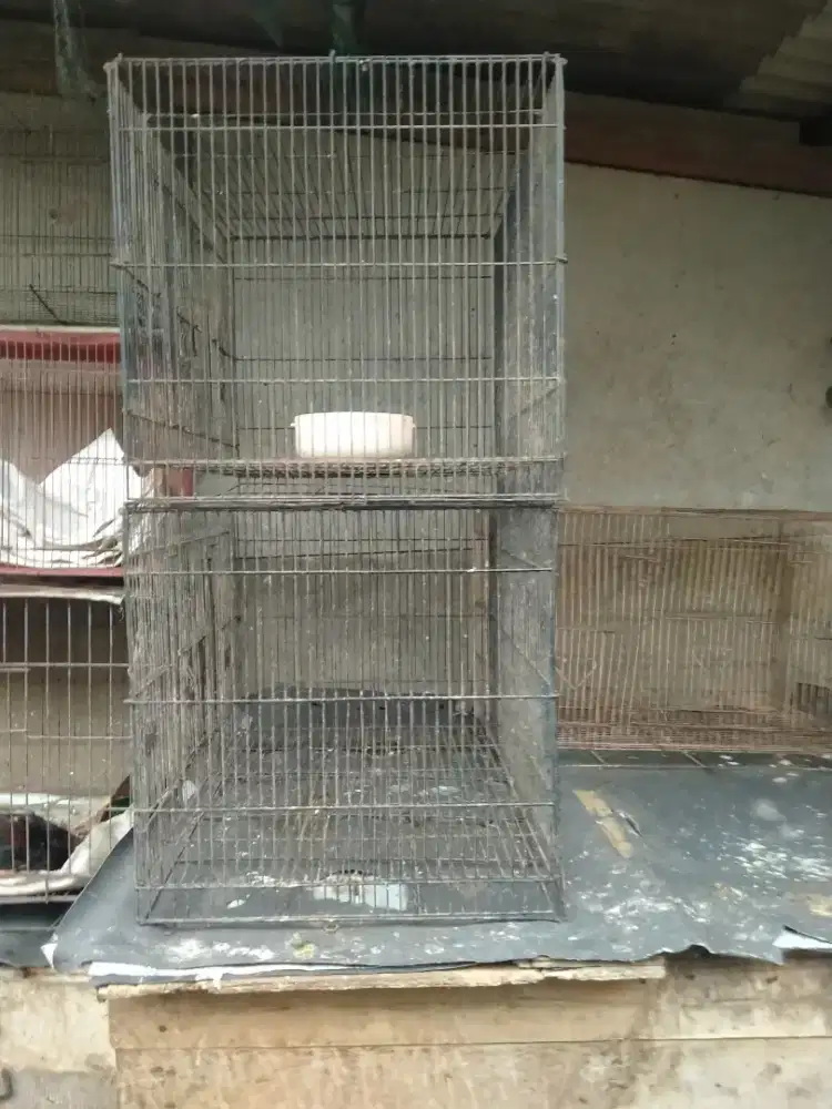 Di jual kandang burung - kandang ayam