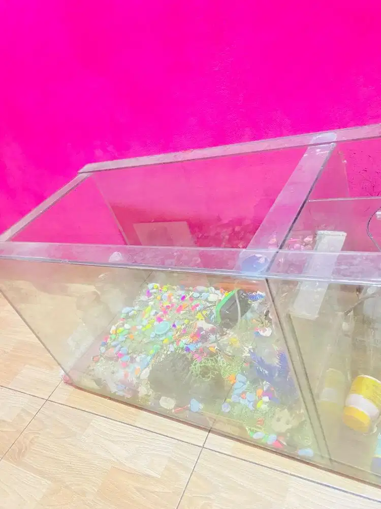 Jual Akuarium ikan fulset mesin air dbatu hias