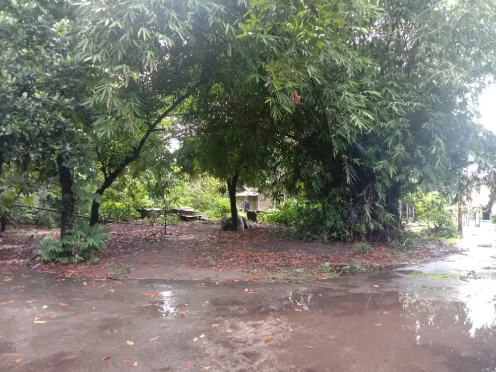 DIJUAL TANAH PEKARANGAN – BANTUL, DIY