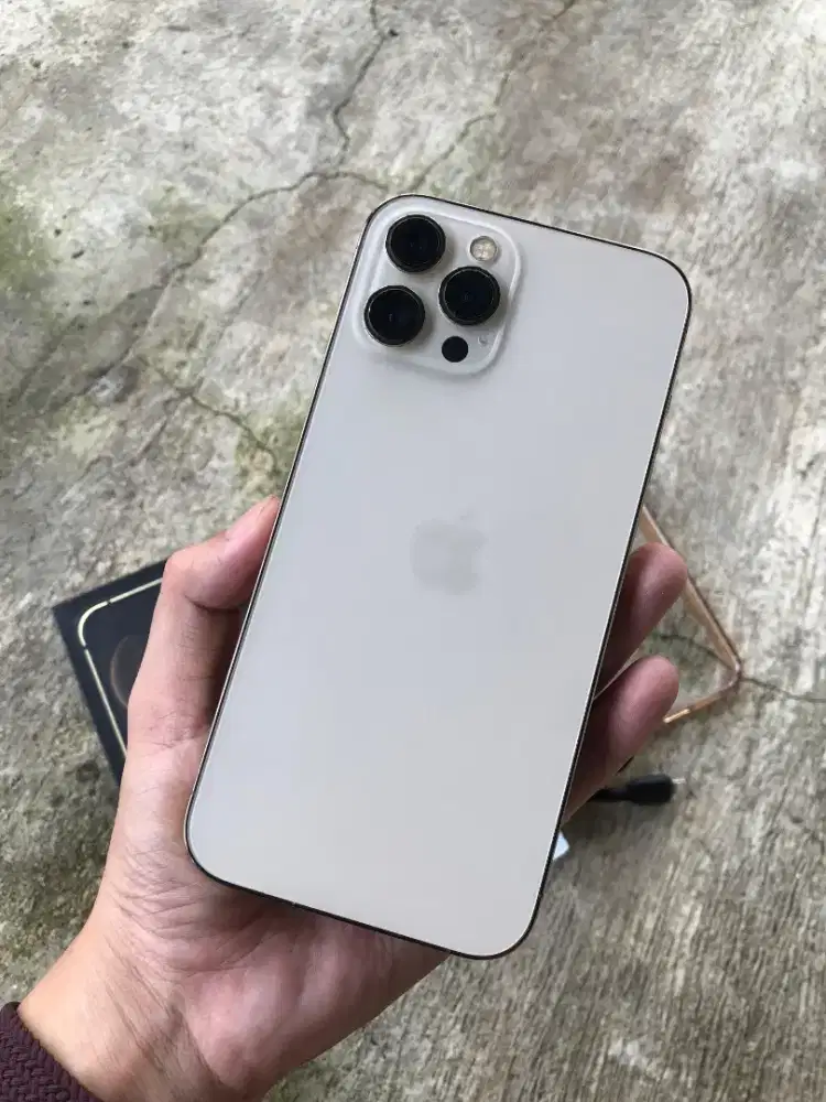IPHONE 12 PRO MAX 512 RESMI