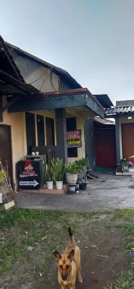 Dijual cepat rumah dekat jln raya