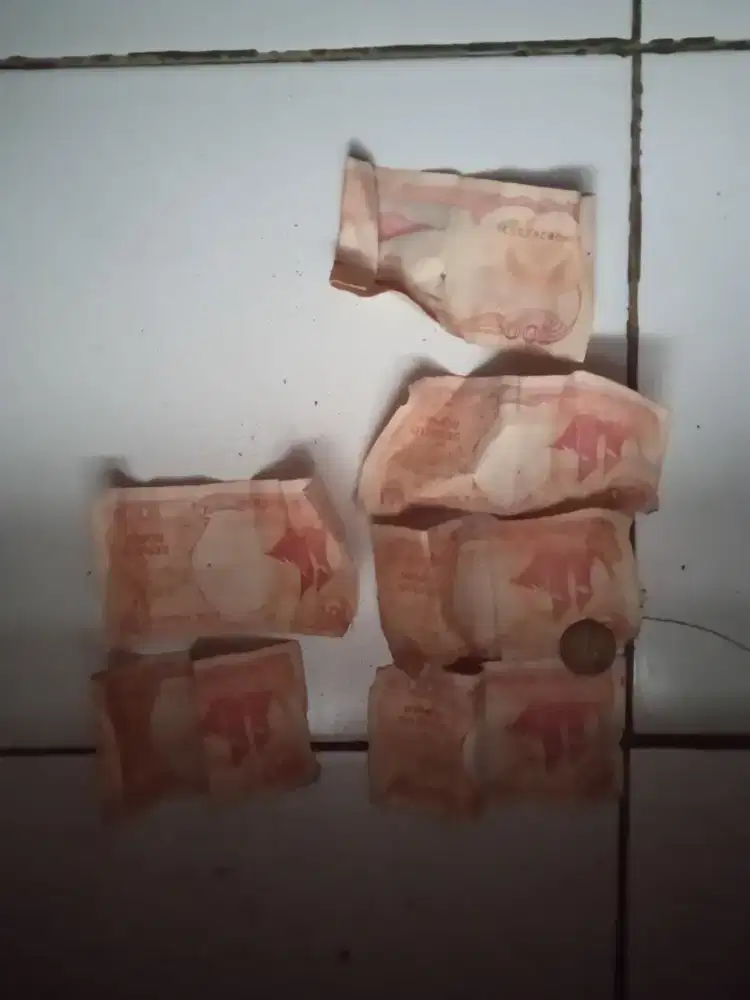 Cari kerja an yang serius