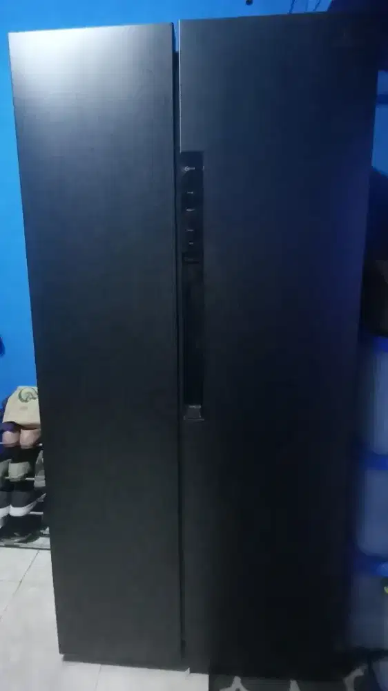 Polytron Inverter side by side