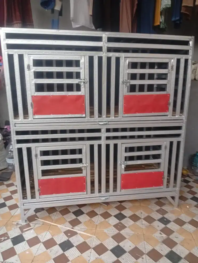 kandang ayam bangkok dll