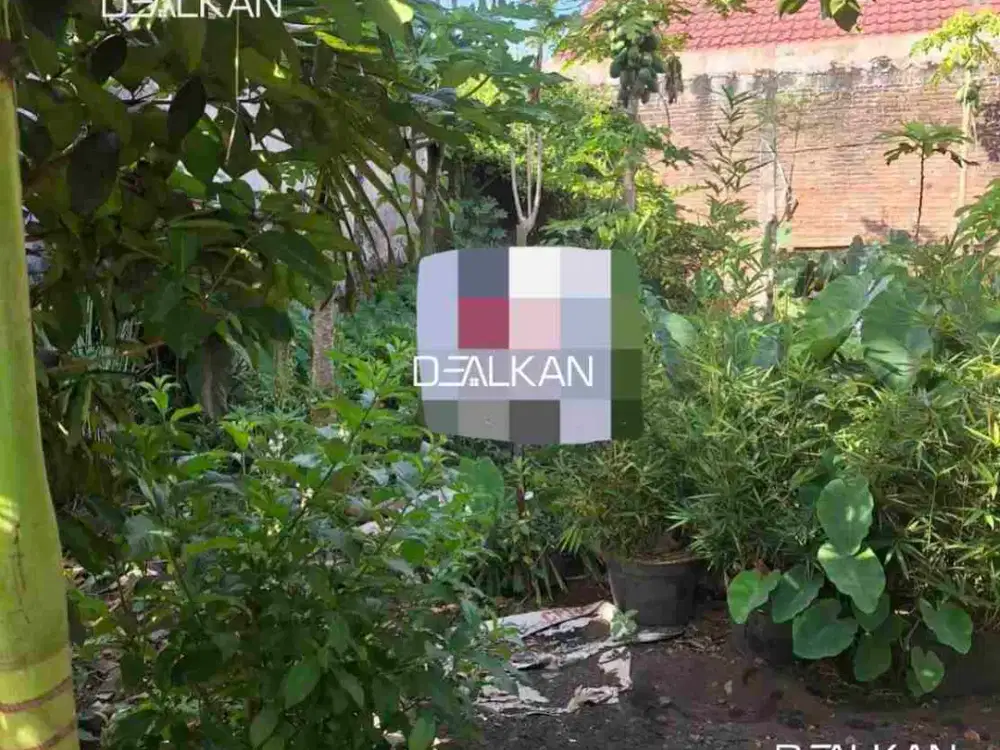 Dijual Tanah Luas 99 m² di Pakis Malang