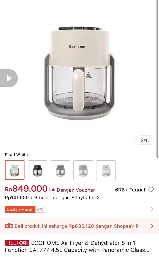 ECOHOMEs Air Friyer & Dehydrator